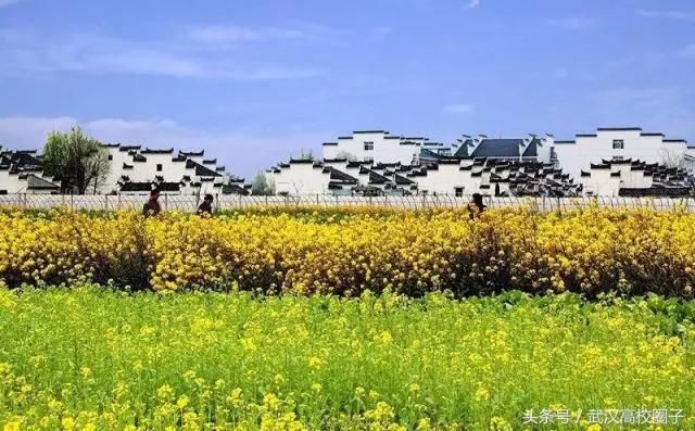 武汉30个春游免费景点大集合!踏青、骑行、拍照来这里就对了!