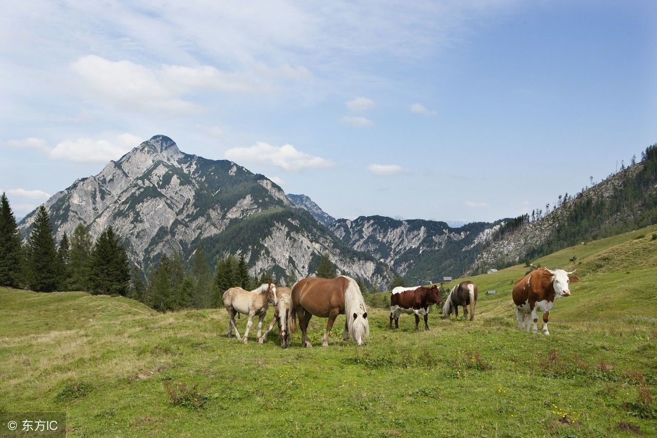 说说抖音上很火的浮云牧场,作为凡人大家跟我