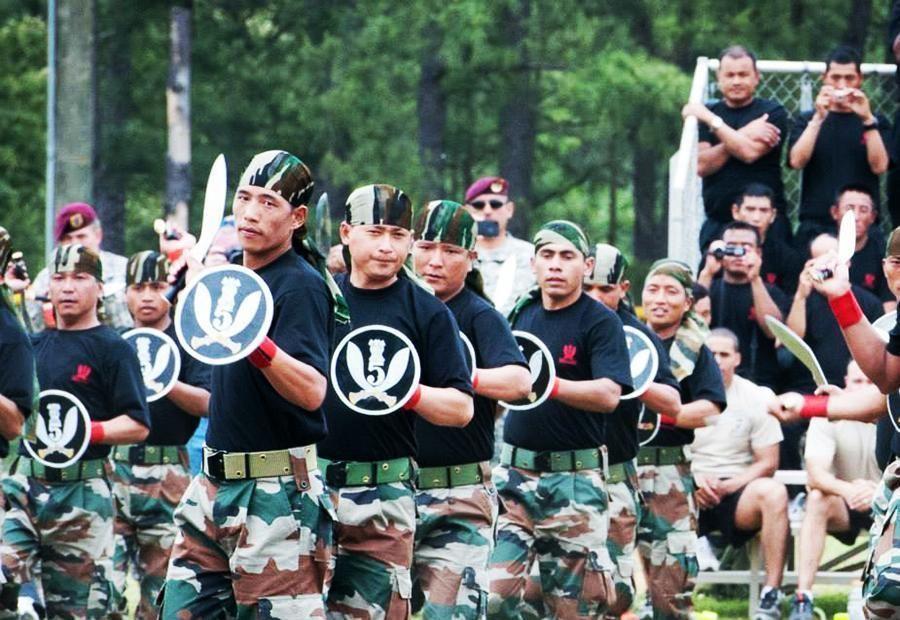 一支东方部队现身利比亚,连战连捷赢得各国尊