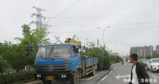 胆真大! 随州一男子花100元买假证后 上路开货