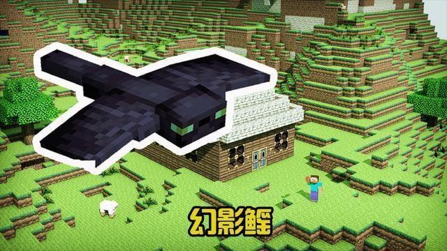 我的世界:六种不能驯服的生物,末影人在榜,最后