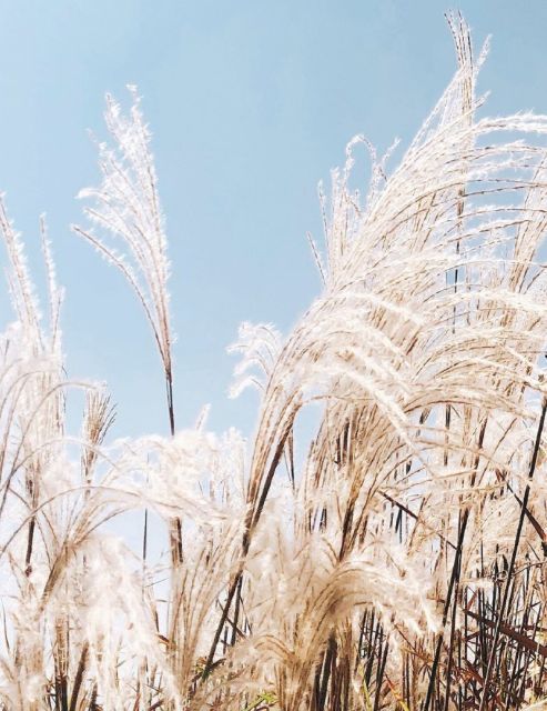 2月时政题库:2019年2月时事政治试题精选