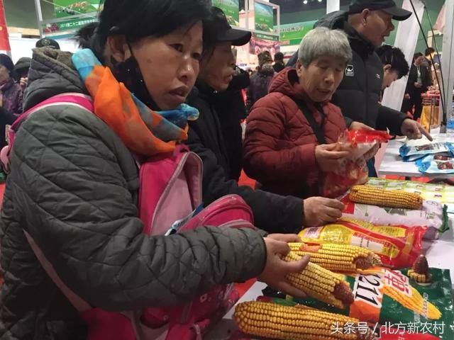 2018年干旱、大风、虫害多!选啥品种好?