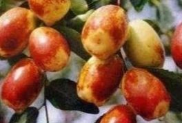 城管工资多少钱一个月