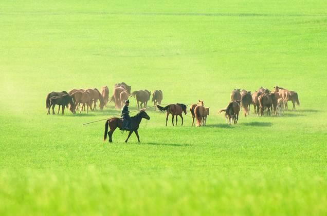 最后一片净土呼伦贝尔大草原,那里有清新的空气