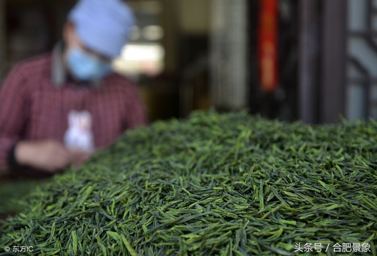 六安瓜片是哪个县产的 t012c243c0ce73c03bf.jpg