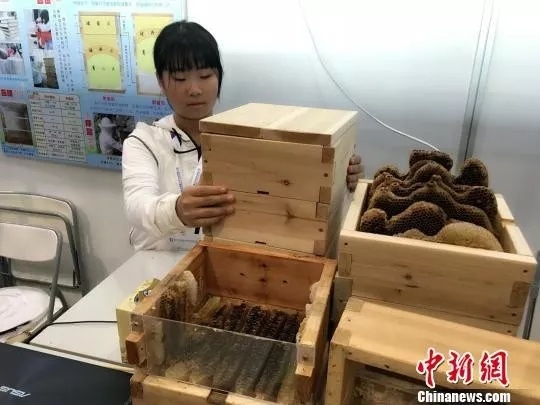 赞!漳平这位小学生将她的发明带到了全国青少