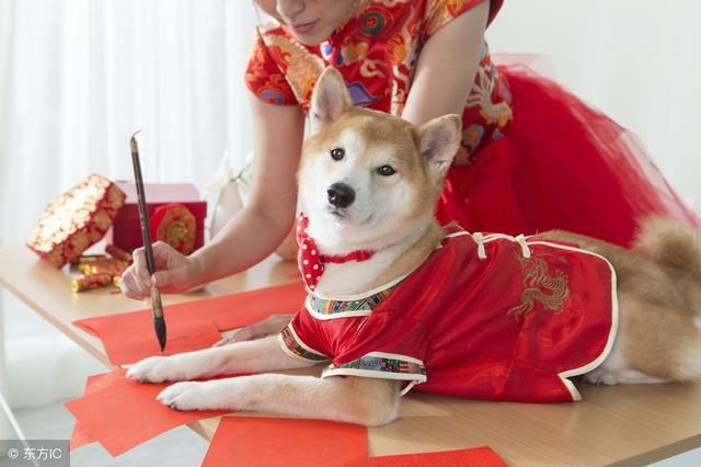 狗年到，春节好！狗年春节拜年语大全，拿去不谢！