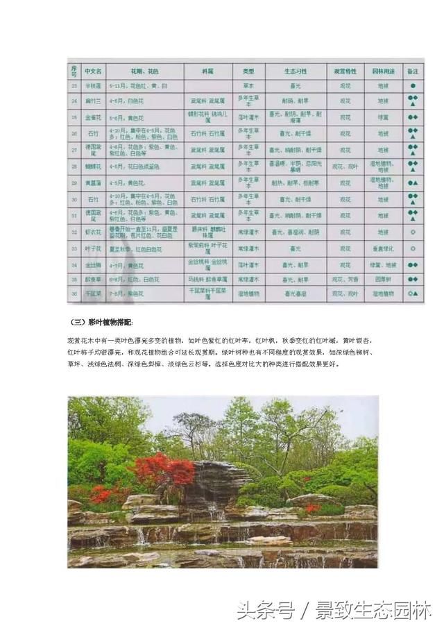 万科园林标准化-住宅、商业景观植物配置细节分析篇