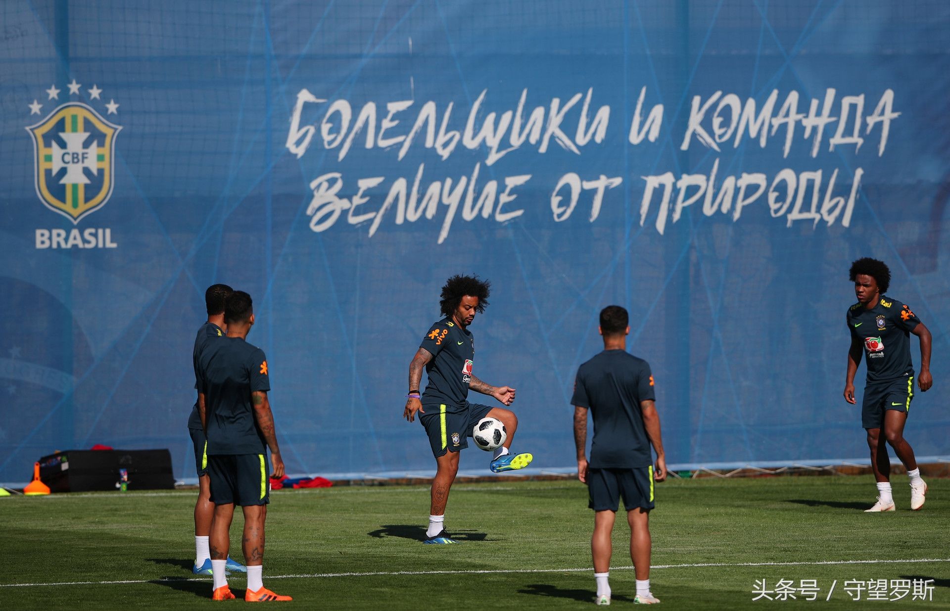 世界杯揭幕战前夕冬宫猫咪预测俄罗斯首战获胜