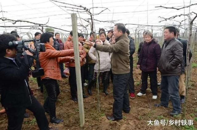 农村发展新机会！18年起，这3种农民有钱赚了！又有人要富起来了