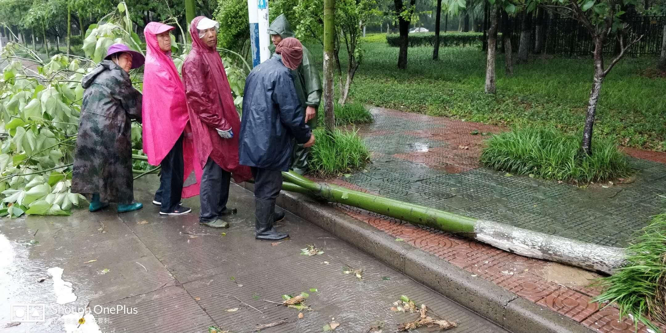 【滚动】强降水云团已移出宿迁？小心雷阵雨玩“回马枪”