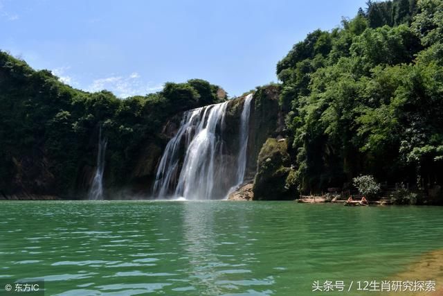 初八喜鹊报喜！添财添福添鸿运，万事如意，一顺百顺的3大生肖