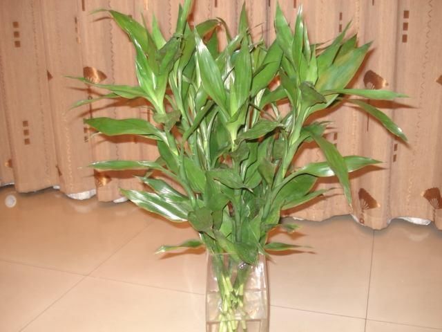 t012cf53d91e2cbd563.jpg
