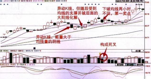 一万本股票书挑出的精华，炒股为什么要看均线，一语惊醒所有人！