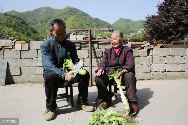 农村老话，“正月打雷，遍地生贼”，今年地里庄稼收成不好？