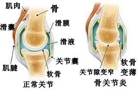 关于冬天光腿穿裙子的谣言，一篇终结你的所有疑问