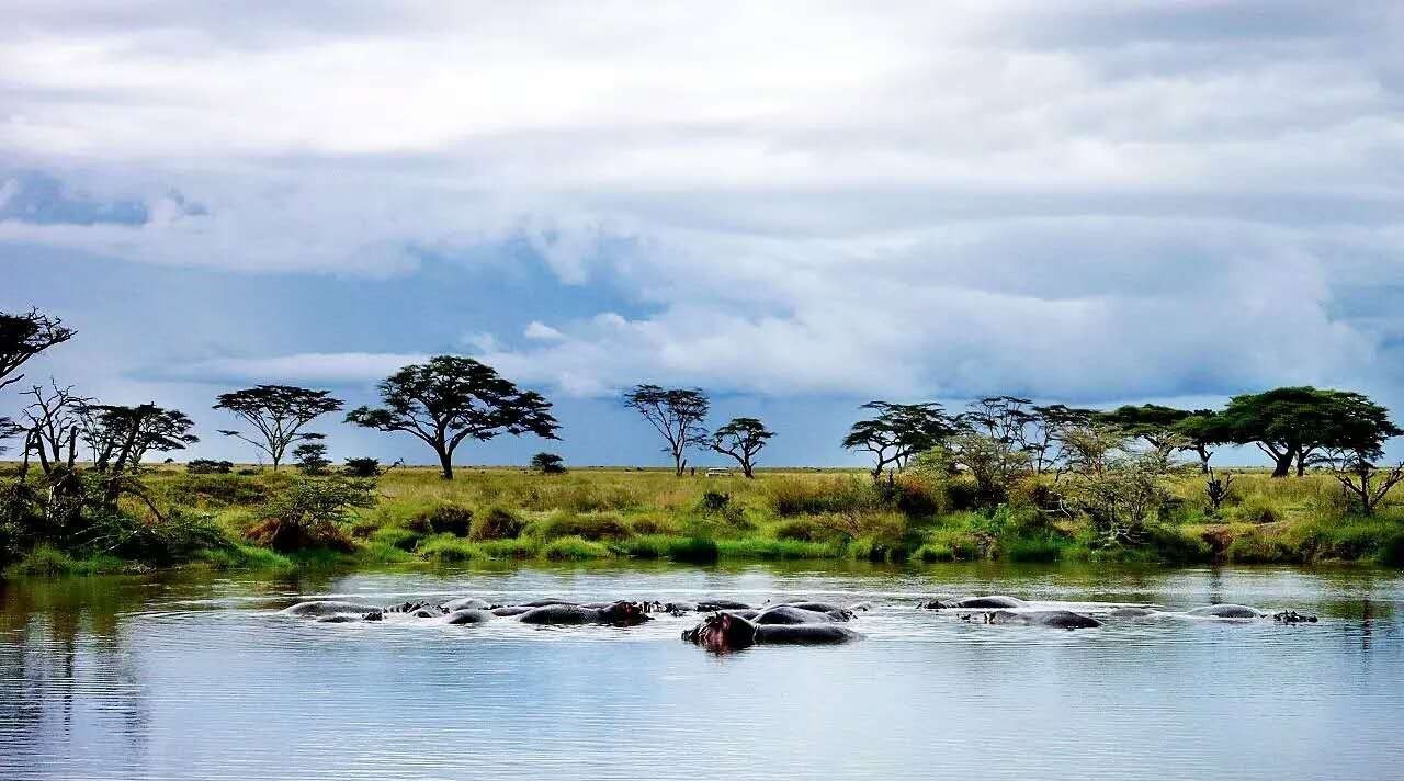 跟中国关系最铁的非洲国家--坦桑尼亚