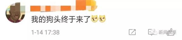 微信吃瓜小表情怎么下载