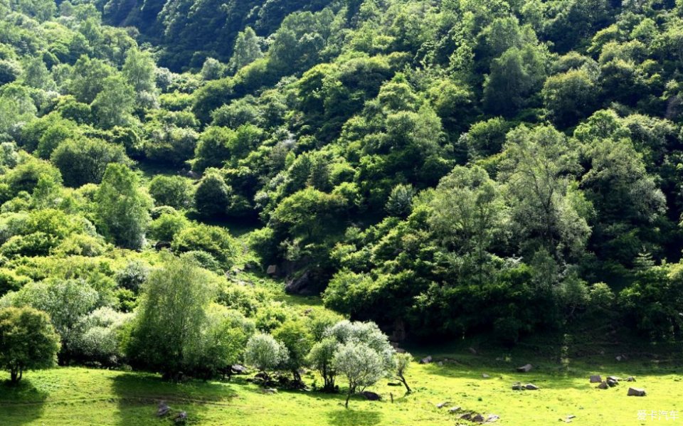 景区内荟萃了森林,草原,河流,山峦,峡谷等自然景观,纯朴自然又不失