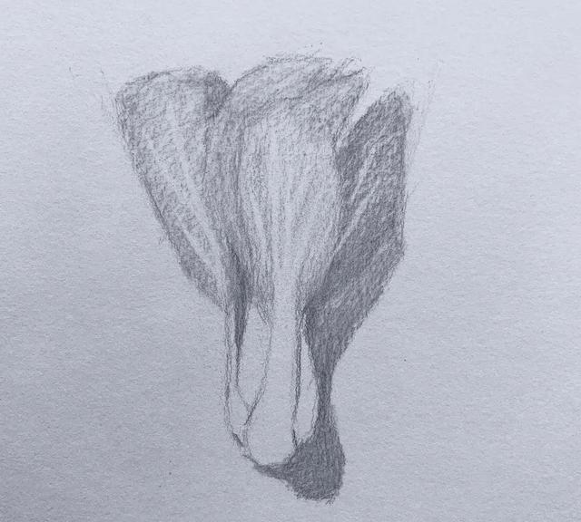 基础技法实物,零教程步奏讲解绘画工笔画素描图片