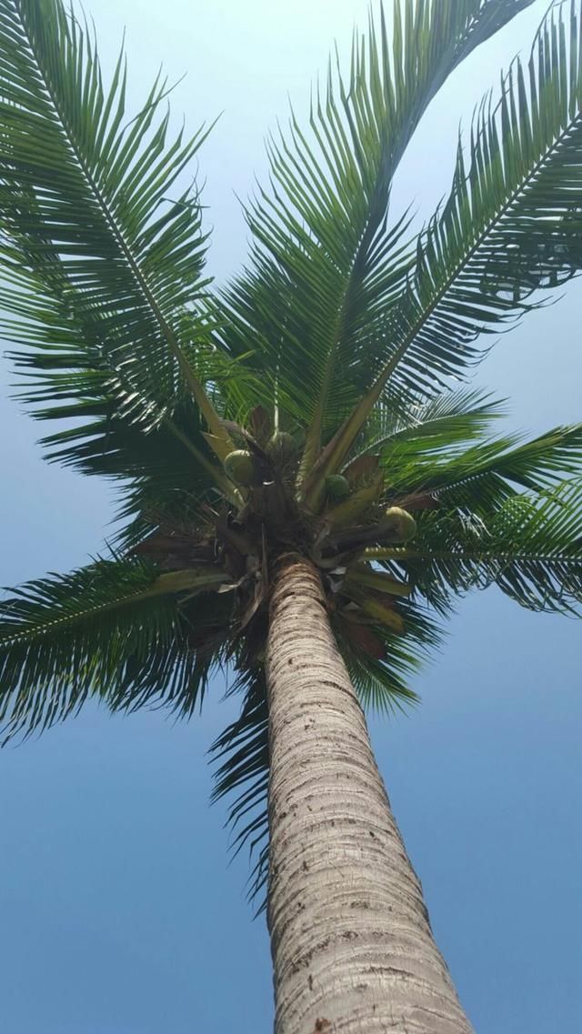 一场适合“70后”的旅行，独自一人带上比基尼来热带的三亚游