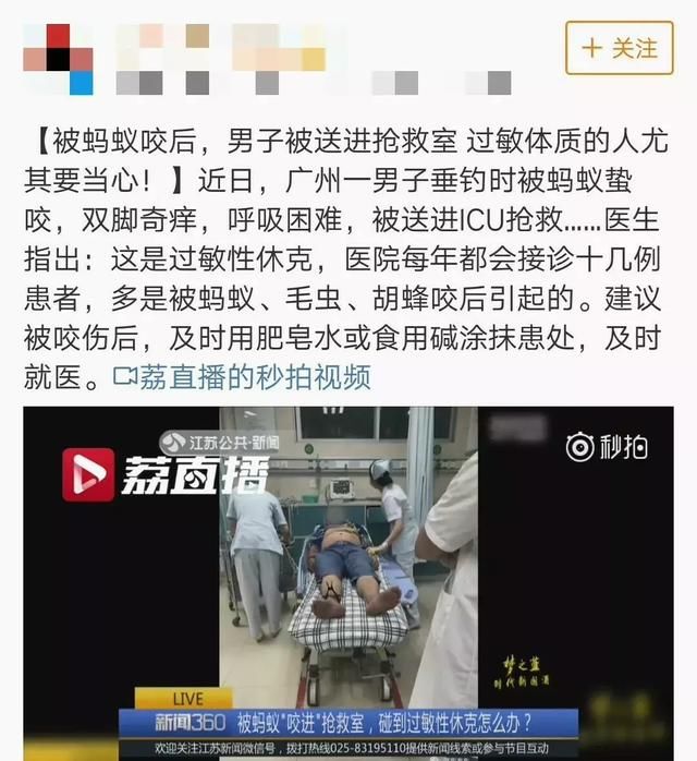 被几只蚂蚁咬伤后，男子竟被送进抢救室！医生说出了背后的真相