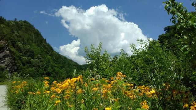 喝水不忘挖井人，大西安美丽的水源地，周至