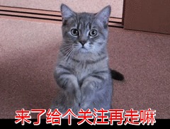 t012ddac6afbd7ff121.jpg