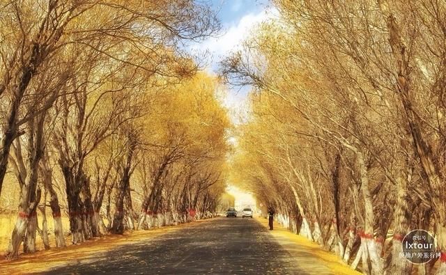 新疆喀纳斯最佳旅游时间