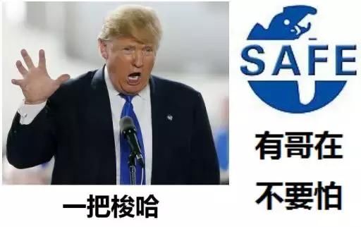 贸易战失败，金融战得利！一大堆国家排队被美国吃干抹净~