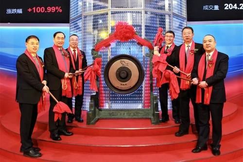 武汉科创板上市公司