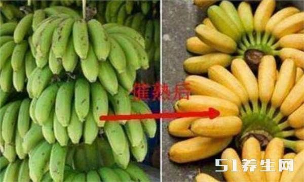 这种香蕉再便宜也别买, 被黑心商家动了手脚不利健康
