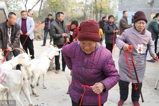 定西市临洮县一个“低保户”的两份申请书