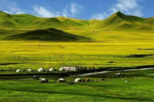 最后一片净土呼伦贝尔大草原,那里有清新的空气