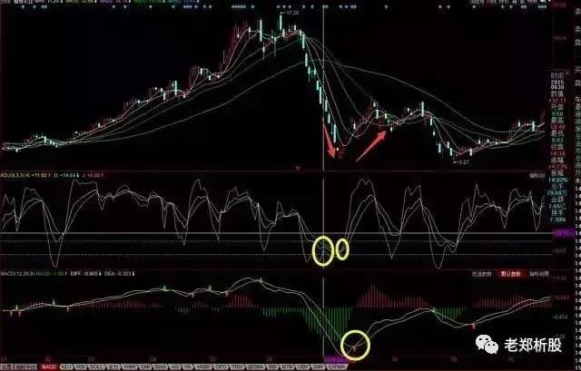 一旦股票出现“MACD+KDJ”组合，股价将有大波动，值得细看！