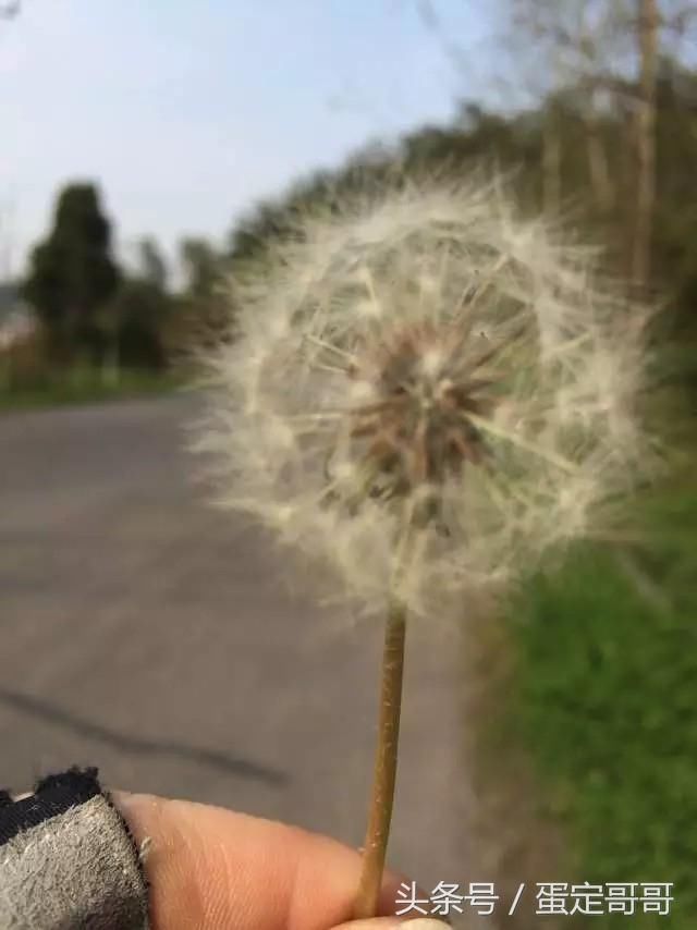 骑行远安县经当阳到荆门栗溪镇