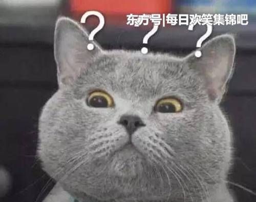 欢笑集锦:女儿我都交给你了,这块肉就留给我吧