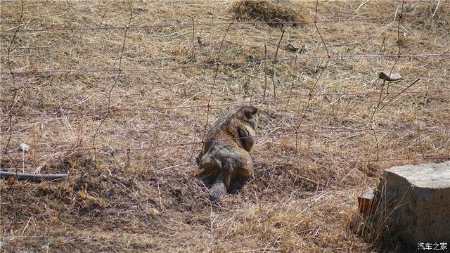 3个老爷们 携帕杰罗川西穿越之旅