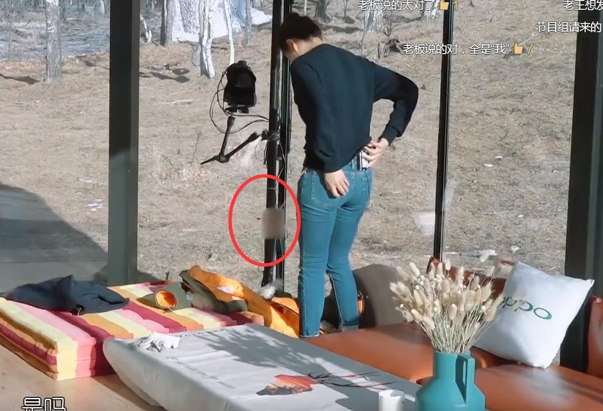 王珂刘涛睡午觉,有谁注意刘涛口袋掉出来的东