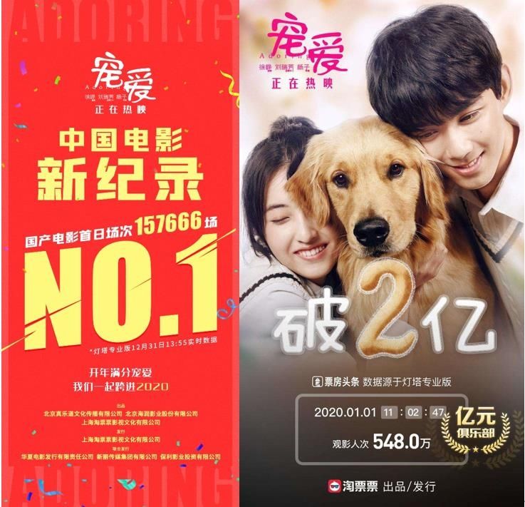 电影宠爱票房