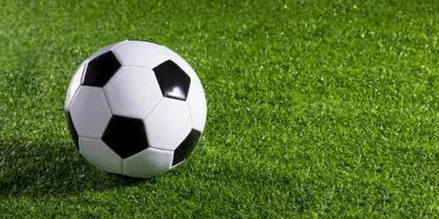 安徽球队再战中国足坛 芜湖龙翔电力队通过足