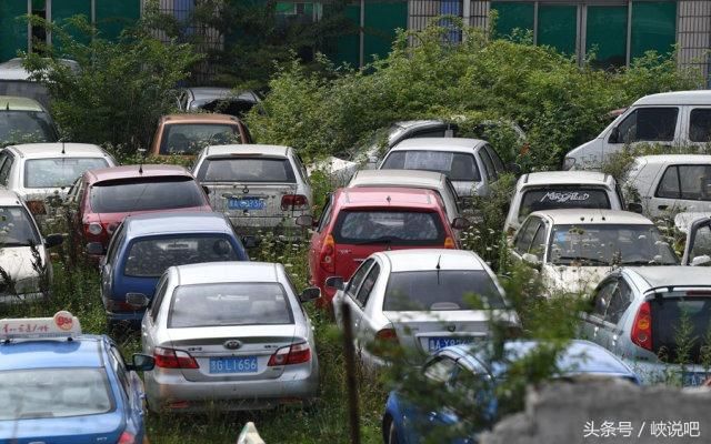 贵阳现“僵尸汽车坟场” 密密麻麻杂草丛生场面震撼