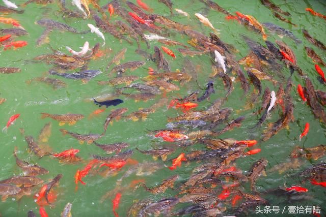 “既有黄花溪，何须去九寨” 这里负离子爆表 五一畅游寄情山水间