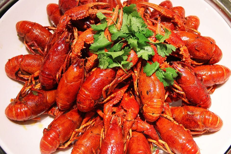 小龙虾钻空牛津大学外墙不稀奇,曾一度让世界