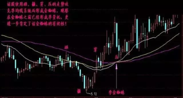 一生难遇“金蜘蛛”，一旦遇见，必将网罗天下大牛股！