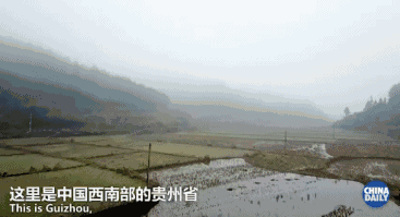 英国小哥20天七地探秘中国!第一站贵州,他意外进入“时光隧道”