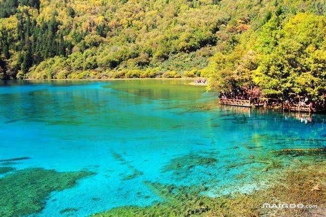 〖九寨沟重点旅游景点九寨沟重点旅游景点介绍〗