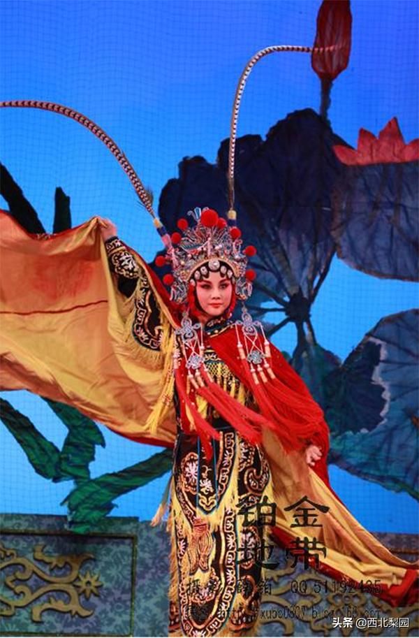 秦腔三娘教子李娟,秦腔三娘教子李娟唱段