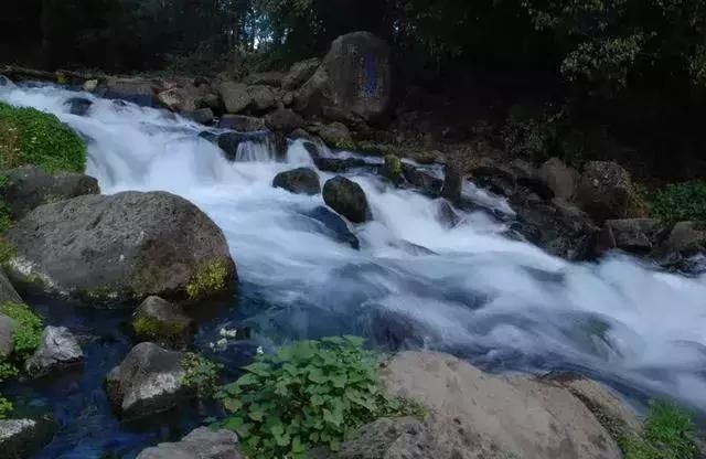 6月的成都最佳的旅行时间,去找一处清幽之处露